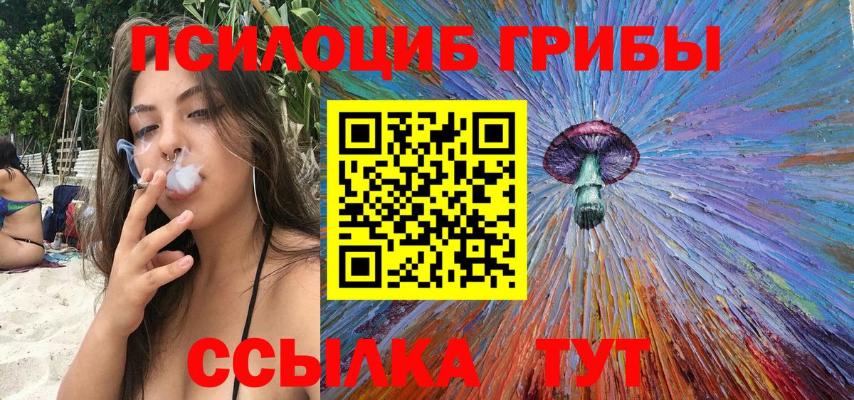 Фурманов  Галлюциногенные грибы Cubensis  Галлюциногенные грибы Psilocybine cubensis  Вход с VPN 